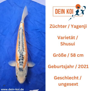 Shusui Yagenji 58cm